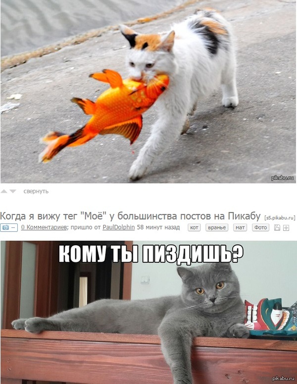  ) 