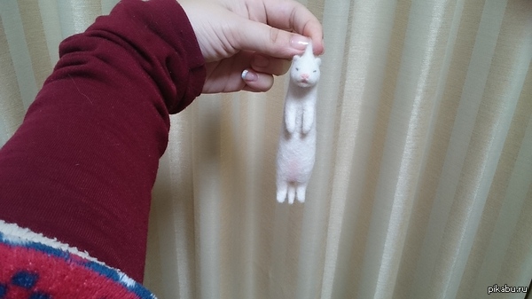  ) 