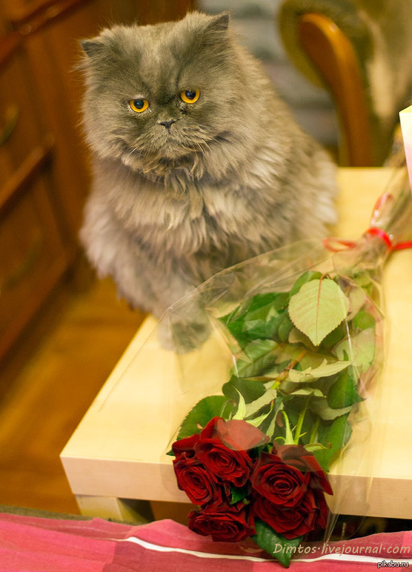 � 8 �����!