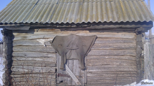 � ���� ���������� � �������������