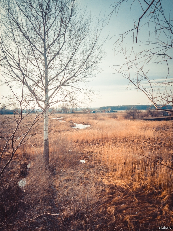 � � ��� ��� ������ �����?