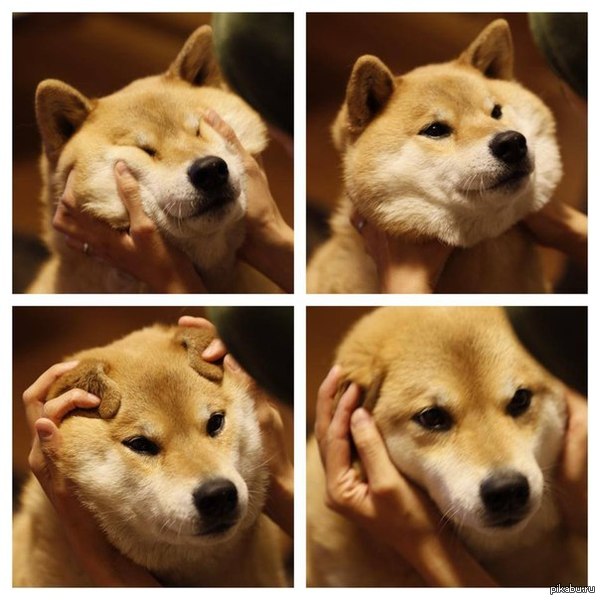 ����� �����)