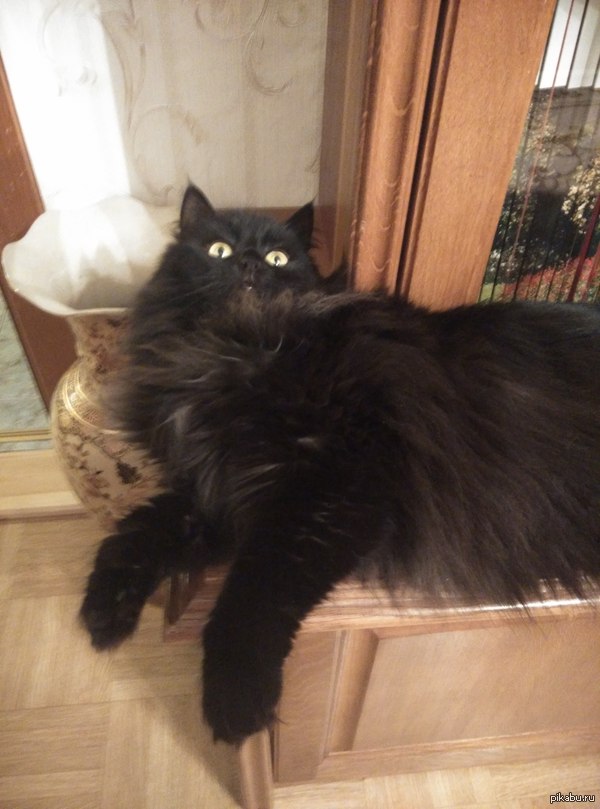 ������� � �������