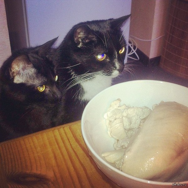 тренируй... силу... воли!