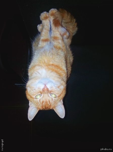 � ���������� ����� �������.