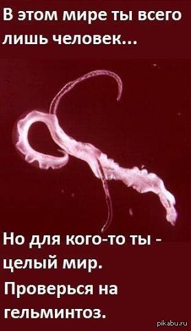 � ���������)