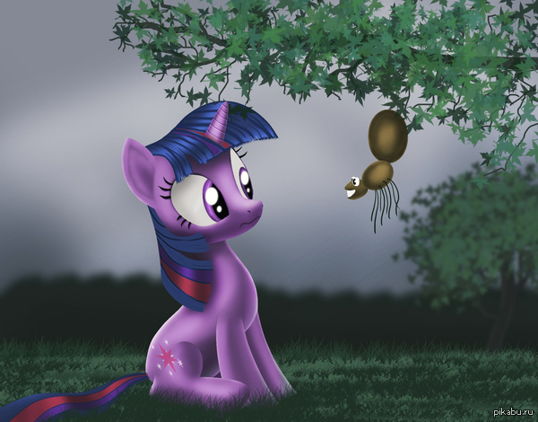 �������� � ����