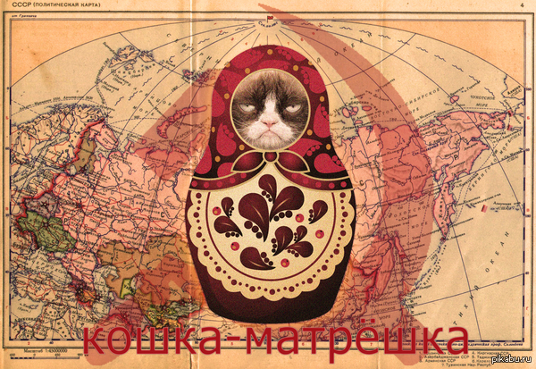 Matryoshka cat - My, cat, the USSR, Matryoshka cat