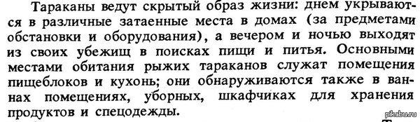 Сегодня я узнал, что я таракан