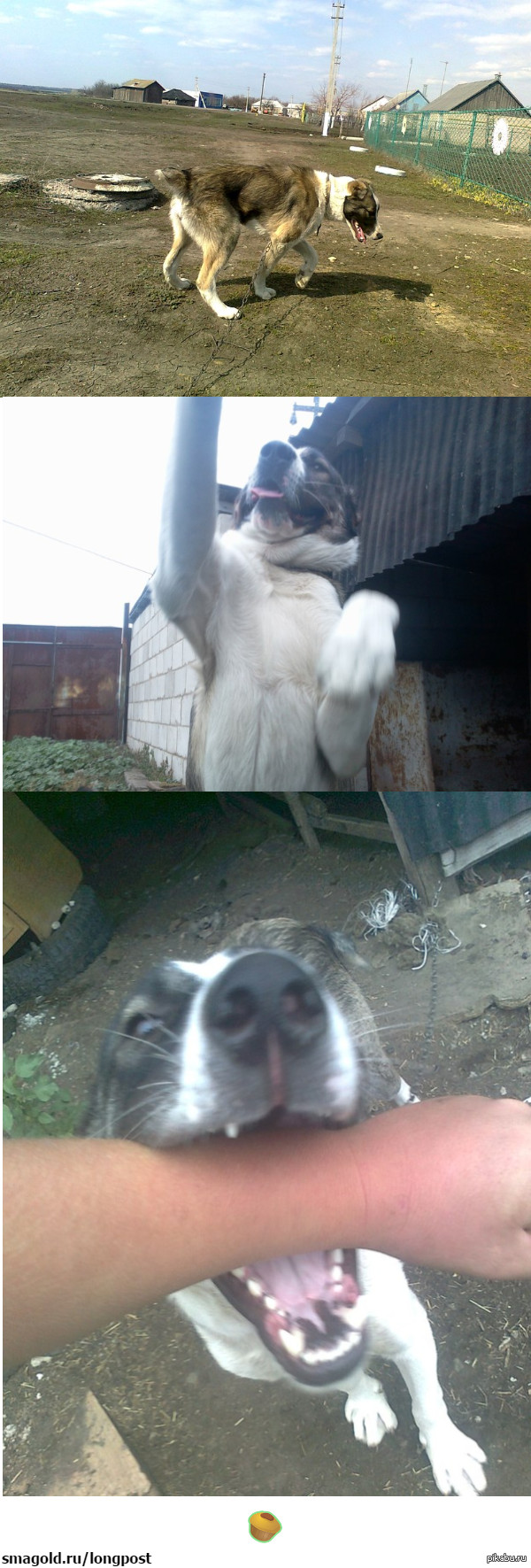 Мой малыш :)