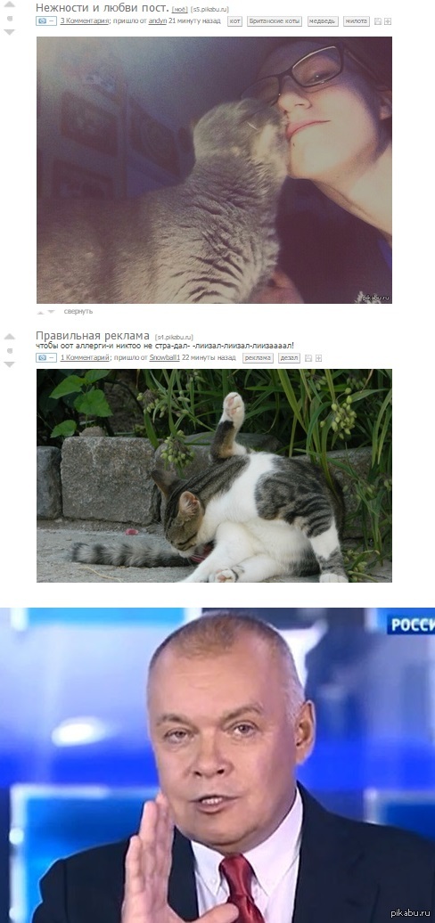 ���������� ����