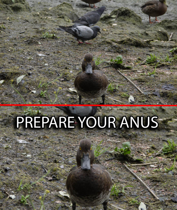      .   ..