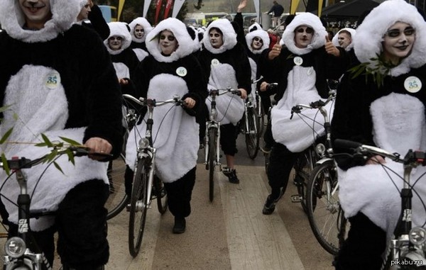 На втором этапе велогонки Париж-Ницца.