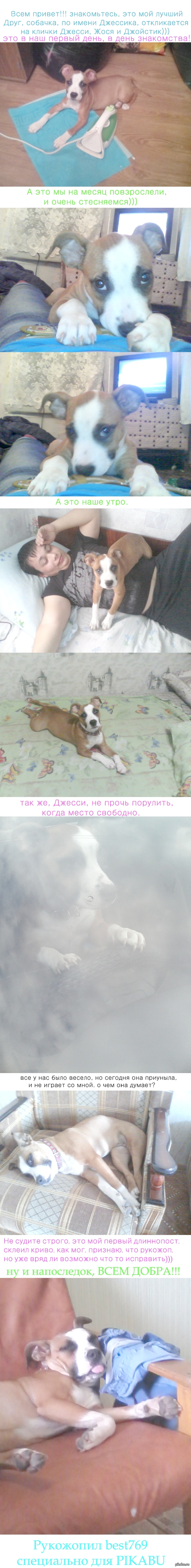 настоящий лучший друг