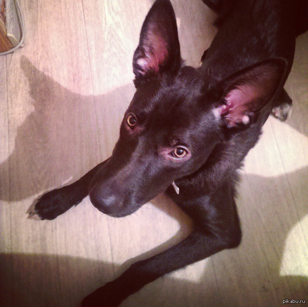 ������� ������, ����� ������������. ��������� � ���. �������� ����� ����� �����! ����������� ��� ������� ������.