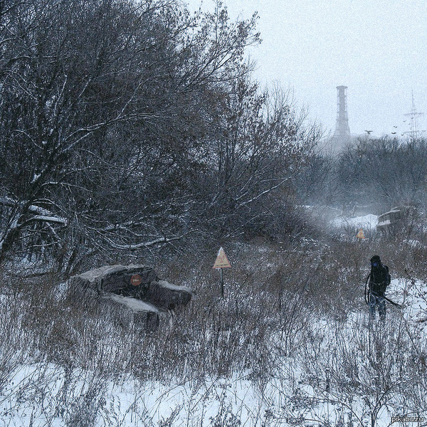 Winter in Chernobyl zone 