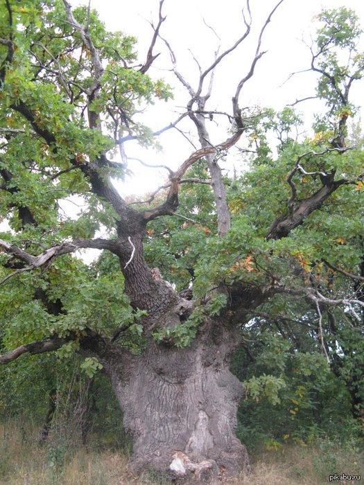 ������ ������.�������.12 ������.���������.���������������:���.