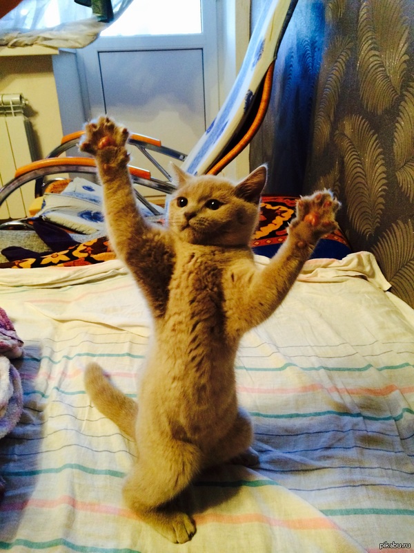  :) 