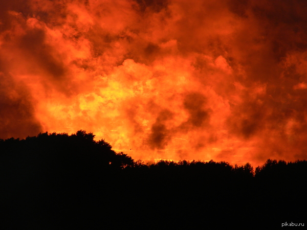 ��� ������ ����� ������ � �����