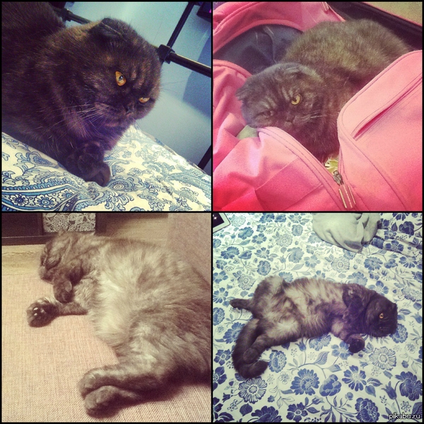 ������ ������ �������� ������!