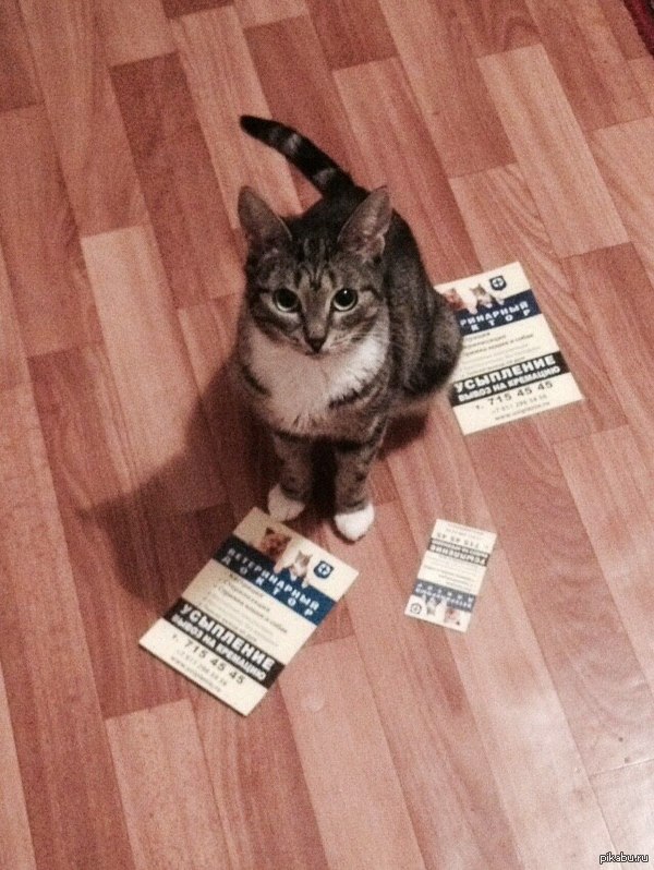 ���� ���.