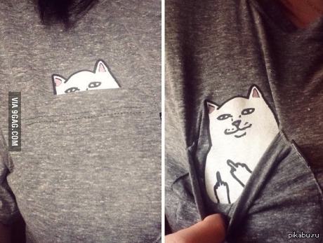 ������ ������ ����