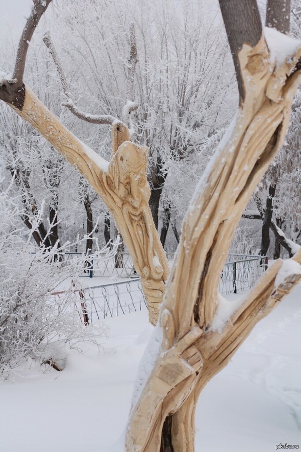 ������ �� ������!