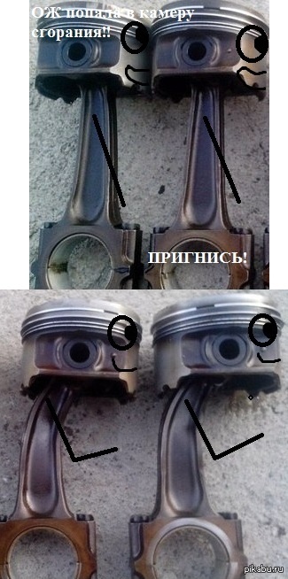 Веселые шатуны | Пикабу