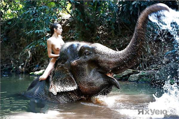 Elephant - NSFW, Boobs, Girls, Nudity, Elephants, Jungle, River