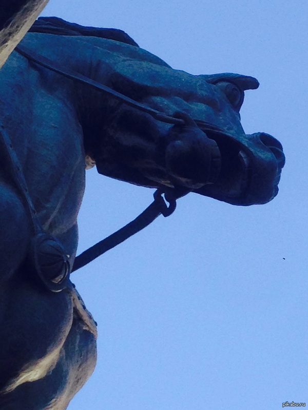 ���� ���������� �������� ��������������