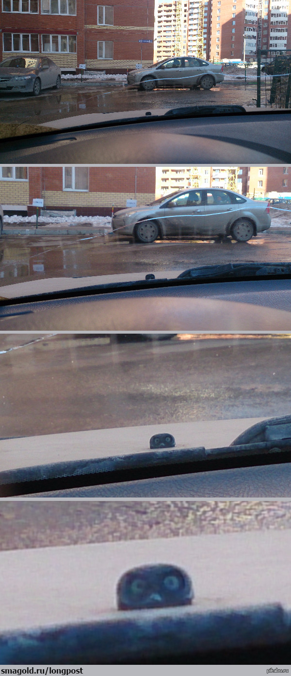 Теперь я замечаю эти огромные глаза каждый раз, когда еду за рулём