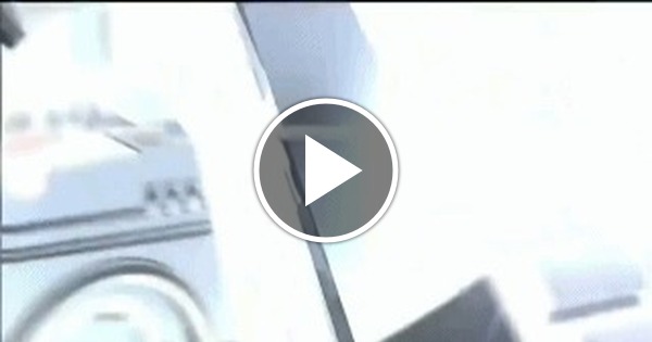 Дебют удался | Пикабу