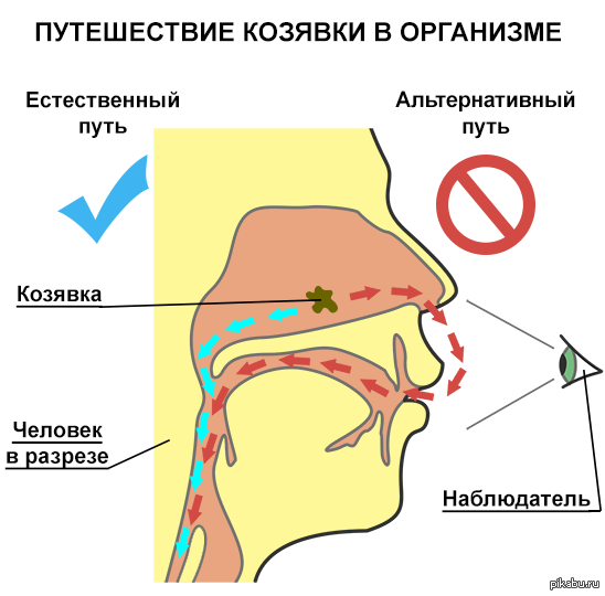 Мемы про козявки