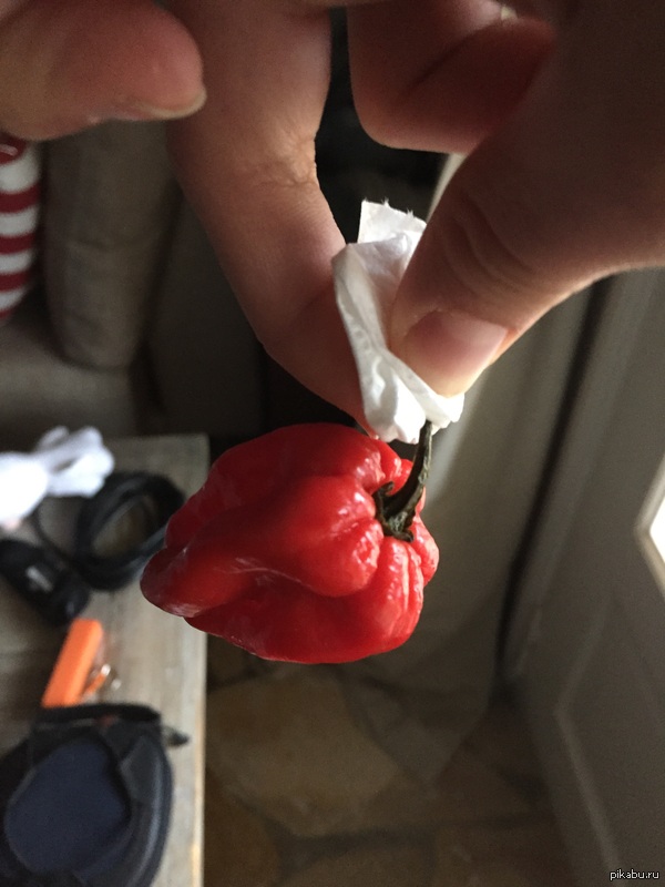          - ghost pepper