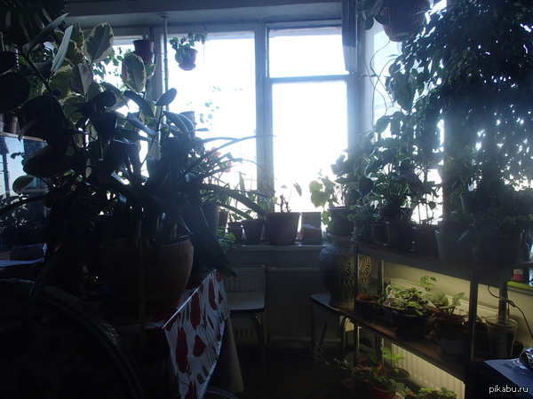 ����� ����� � ����� � �� ��� �������, ��� � ��� ������� �������