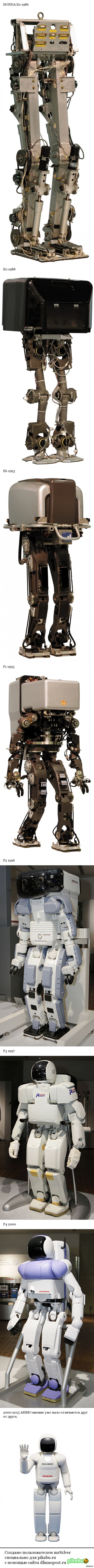 �������� �������