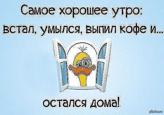 Утро лентяя