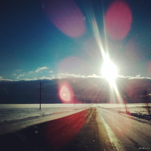 Дорога домой