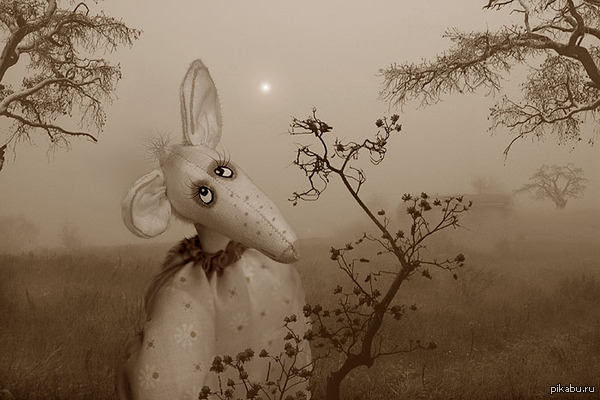 Поздравлять с праздниками на Пикабу нельзя,