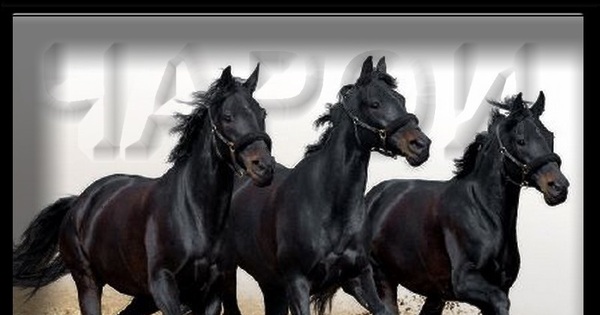 Цыгане: Мнение Участкового | Пикабу