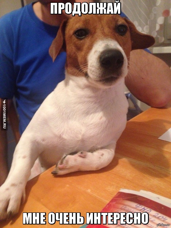 Мой собеседник