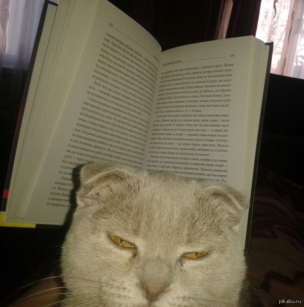    ... :    .