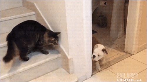 &quot;  !&quot;