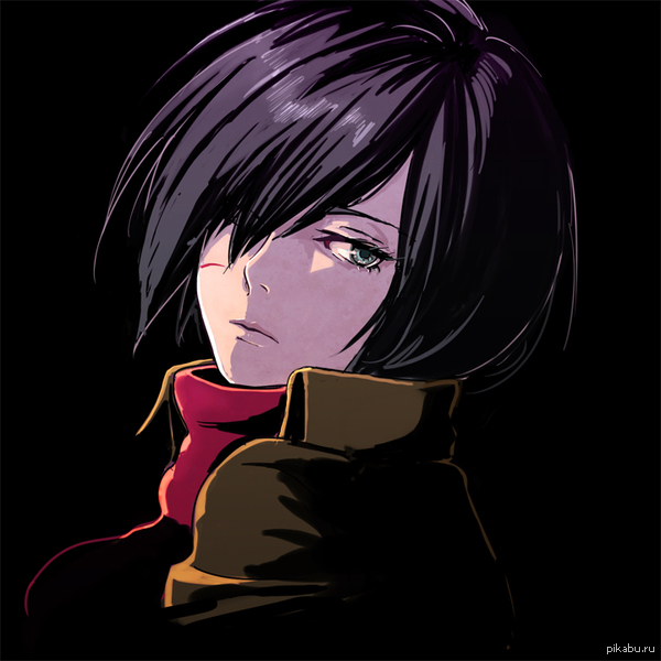 Mikasa Ackerman /  
