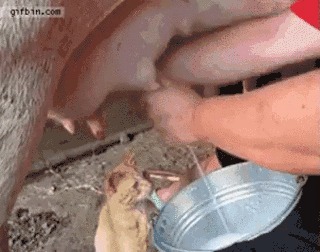 --,  