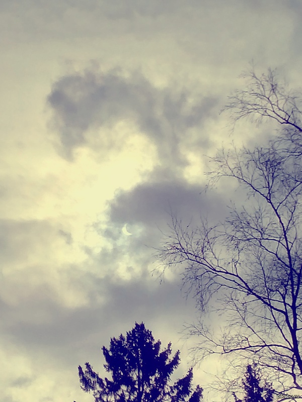 78% ��������