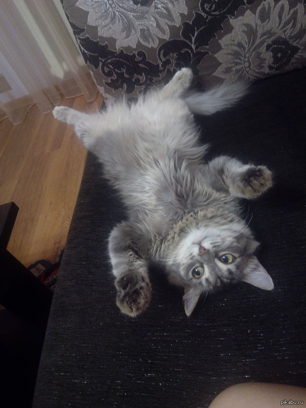 &quot;  ,    ,    ,      !&quot; ()