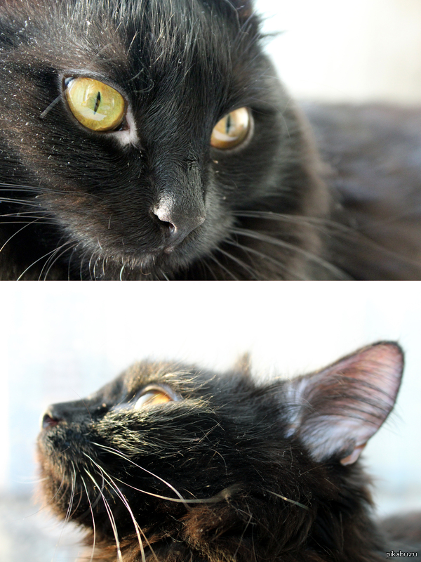 � ��� � ��� �������