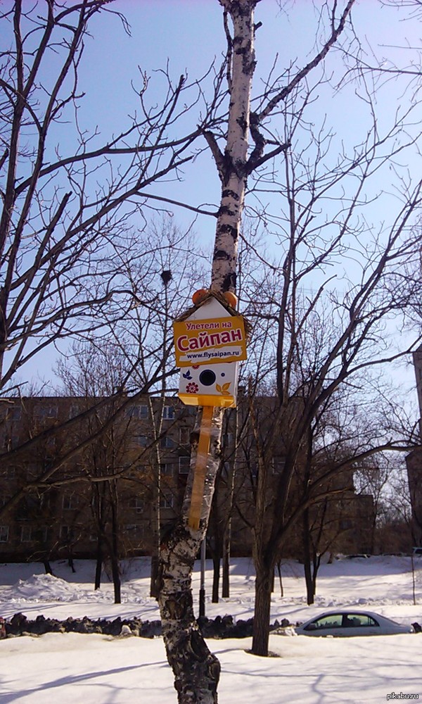 Никого нет дома | Пикабу