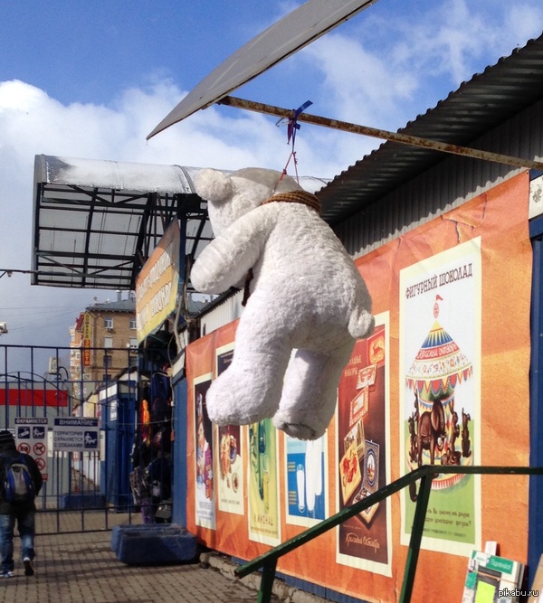 На Горбушке белого медведя повесили